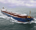Cargo dry bulk ship 21small.jpg